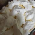 bbearni Cooksnap-ja, amikor elkészítette a(z) Hóvirág "torta" receptet.