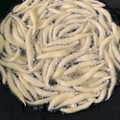 Cooksnap dari Momsky Ji untuk resep Stik keju /cheese stick mudah renyah anti gagal