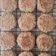 El cooksnap de Mate Amargo 🧉🍪 cuando hizo Cookies Fit Avena + Maní 🥜.