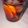 Cooksnap de Luciano quando cozinhou Negroni.
