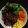 Cooksnap dari Lukie Lazuardi untuk resep Ayam Teriyaki Jepang ala Hiroyuki Terada (halal)