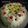 Ruma Guha Das Sharma's cooksnap of when they made হোয়াইট ফরেস্ট কেক(White Forest Cake recipe in bengali).