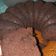 Cooksnap dari Nalendra_susgiantoro untuk resep Basecake cake ultah(cake coklat kukus)