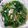 麗麗 的 鮮菇炒菠菜 cooksnap
