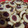 El cooksnap de Agostina Gusmeroli Cis cuando hizo Pepas (masa con margarina) con dulce de leche, membrillo, batata.