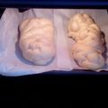Cooksnap από nouvia στη συνταγή Τσουρέκι παρλιάρος