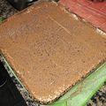 El cooksnap de Milagros Silveira cuando hizo 🇮🇹TIRAMISU🇮🇹 (CON MASCARPONE) 🇮🇹❤️🤩🥳🍾🥂😍😋❤️🇮🇹 (sin huevo crudo🤗).