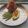 Suchita Kamdar's cooksnap of when they made આચાર મસાલો (Pickle Masala Recipe in Gujarati).