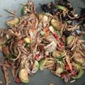 Cooksnap dari Ajeng Kartika Hapsari untuk resep Tumis Terong Hijau & Ikan Teri