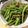 Facebook09's cooksnap of when they made Cranberry &Almond Green beans Can be frozen!.