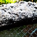 Cooksnap dari Dapoer HanNa untuk resep Bolu Susu Oreo