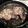 Frieda20's cooksnap of when they made Braised Pork Chops.