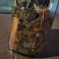 El cooksnap de Laura Palavecino De Arriera cuando hizo Hongos de Eucalipto en Escabeche.