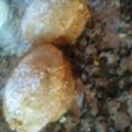 El cooksnap de Mozart & Cookies cuando hizo Magdalenas.