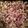gevans75's cooksnap of when they made Swag-A-Licous N Bomb-Diggity Baked potato Triangles.
