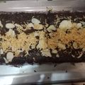 Cooksnap dari rina maryana untuk resep Brownies
