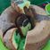 Cooksnap dari Jhuwita Ekawanti untuk resep Marmer cake super lembut anti gagal