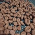 Cooksnap dari ratna ratna untuk resep Simple Coffee Bean Cookies / kukis biji kopi