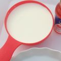 Ayshat Adamawa(U. Maduwa)'s cooksnap of when they made Homemade yoghurt.