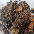 El cooksnap de Francisco José Merino Pastor cuando hizo Arroz negro con sepia y gambas.