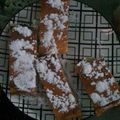 El cooksnap de Alexandra Marchant Lavado cuando hizo Bizcocho de yogurt (sin huevo ni leche).