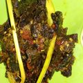 Cooksnap dari Lusi Anggraini untuk resep Paru pedas