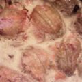 Cooksnap από olgaarg στη συνταγή Κολοκυθοανθοί αυγολέμονο
