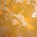 Cooksnap dari OMI untuk resep Kolak ubi#PrRamadhan _Takjil