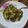 Cooksnap από EIPHNH- στη συνταγή Αρακάς λεμονάτος χωρίς λάδι