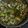 Cooksnap dari Pepoy untuk resep Sop kambing Madura