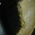 El cooksnap de Viviana cuando hizo Masa para empanadas o tartas.