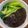 陳昭昭 的 韓式炸醬麵 cooksnap