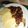 El cooksnap de paul reyes bustos cuando hizo Tortilla de porotos verdes.