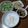 Dominique Teng 的 陝西酸辣涼皮（自製涼皮＆醬汁 好吃到流眼淚） cooksnap