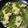 El cooksnap de Gemma Leticia Gomez Perez cuando hizo Merluza en salsa verde.