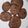 El cooksnap de lachispadelavida cuando hizo Galletas cookies.