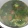 Cooksnap dari Sandra_rif untuk resep Bakso Kuah Pakcoy