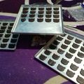 Cooksnap dari Selly Saschu untuk resep Semprit coklat