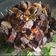 Cooksnap dari ajeng dwi hapsari untuk resep Paru Sambal Matah