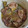 Cooksnap dari febri lina untuk resep DHA (Daging, Hati, dan Ampela) Ayam Ungkep