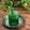 Cooksnap Salina Jalaludin semasa beliau membuat Air pandan cooler #minggukedua #minuman.
