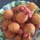 Cooksnap dari Ellena Shody untuk resep Gurita sossis kentang goreng