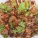 Cooksnap dari Siti Khodijah Lubis untuk resep Tahu Goreng Medan