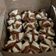 Cooksnap dari Mak SemoG untuk resep Bolkus Mekar Zebra