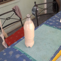 El cooksnap de Christian René López Cisterna cuando hizo Cola de mono con leche.