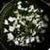 Devyani Baxi's cooksnap of when they made પાલક પનીર (Palak Paneer Recipe In Gujarati).