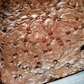 Cooksnap dari novi untuk resep Brownies panggang shiny crust