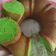 Cooksnap dari anggi Ardya pohan untuk resep Bolu Pandan Panggang