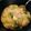 Jandarkine 's cooksnap of when they made Brokkoli-Schinken-Gnocchi in Käsesauce.