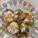 Uma Buch's cooksnap of when they made મગની દાળની ખસ્તા કચોરી (Moong Dal Khasta Kachori Recipe In Gujarati).